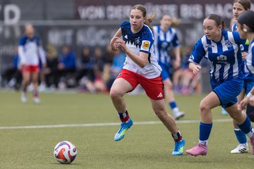 Bild 330 - wBJ Hamburger SV - FC Suederelbe : Ergebnis: 9:0